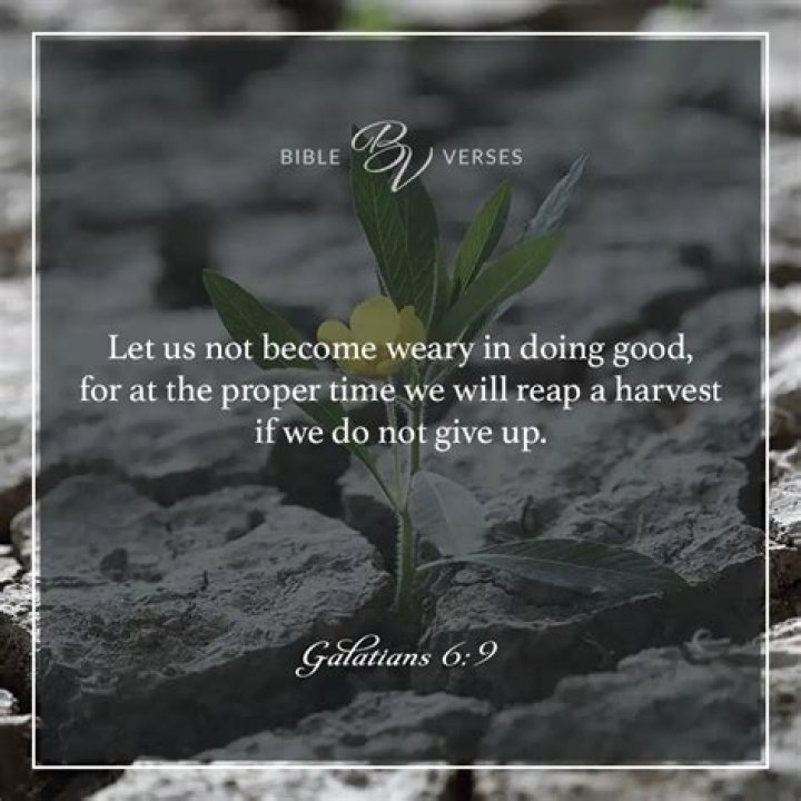 25 Perseverance Bible Verses - Scripture About Hard Work