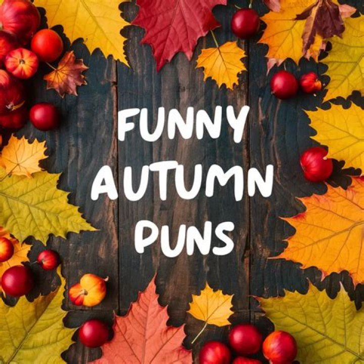 95 Funny Fall Puns for Your Autumn Instagram Posts