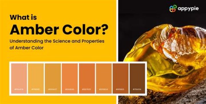 Amber Color | The Science, Properties, & HEX Code of Amber