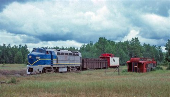 Baldwin Sharknose moved in Michigan