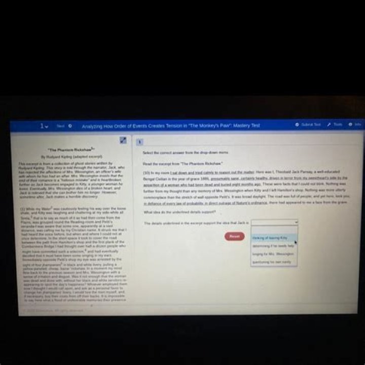 Berrybarge Review: Check The Details Here!