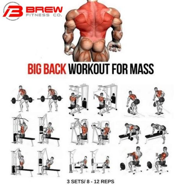 Big Back Workout | Try This Lat Workout For Mass