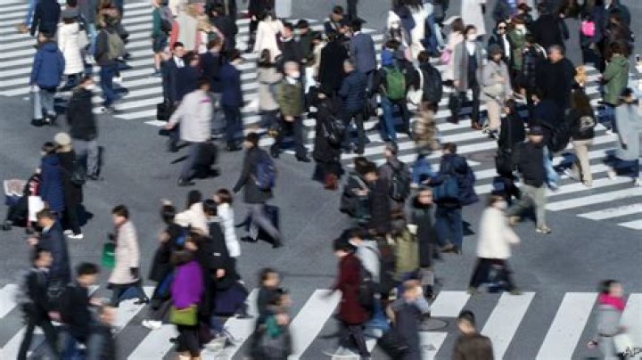 Culture as the menacing force behind today’s crazy politics