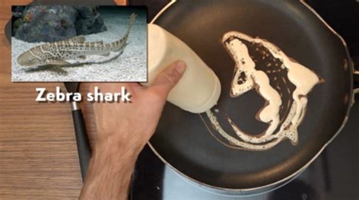 Drawing sharks with pancake batter