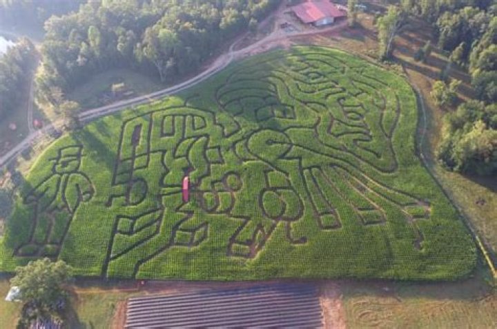 Hall Family Farm is BACK with New Digs in Lancaster, SC