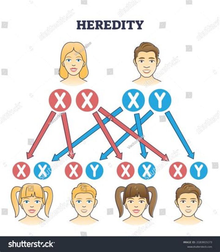 Heredity: Royal Malady - TIME