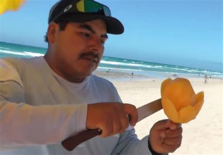 How to Carve a Mango Flower on a Stick