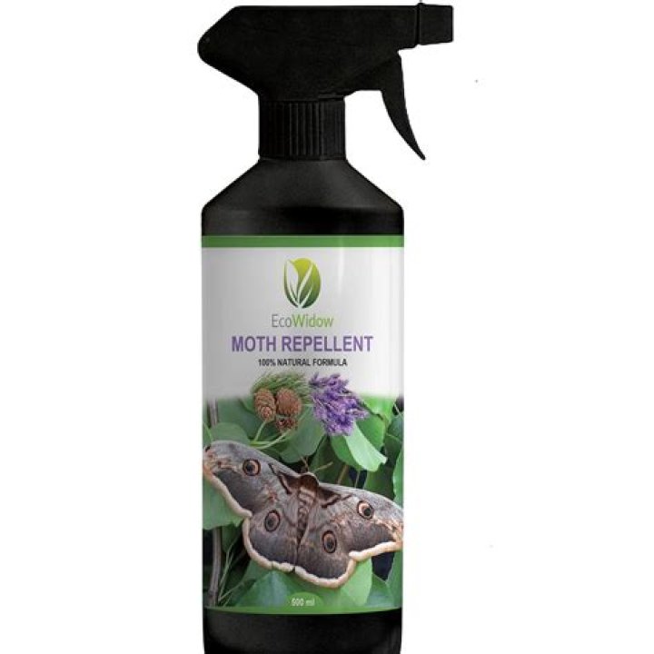 How To Get Rid Of Moths At Home – 15 Repel & Prevent Tips