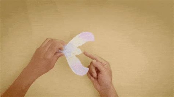 How to make Mr. Shaha’s Balancing Bird
