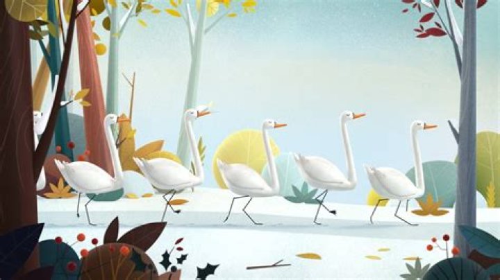 Joy and Heron | The Kid Should See This