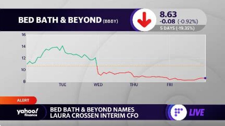 Laura Crossen Net Worth (2024)