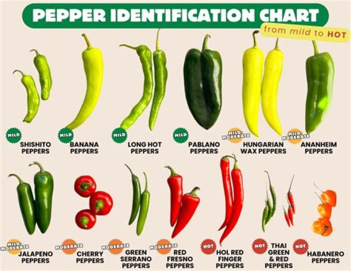The Chili Peppers Fiddle as Rome Burns