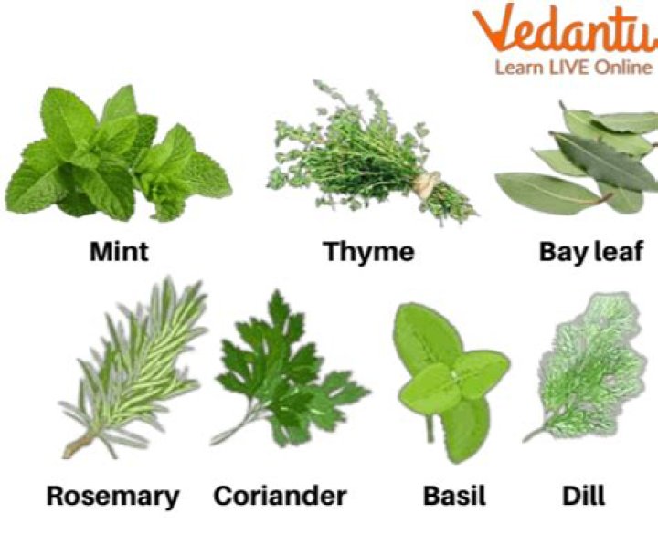 The Smoke From These 5 Herbs Will Deeply Clean Any Enclosed Space