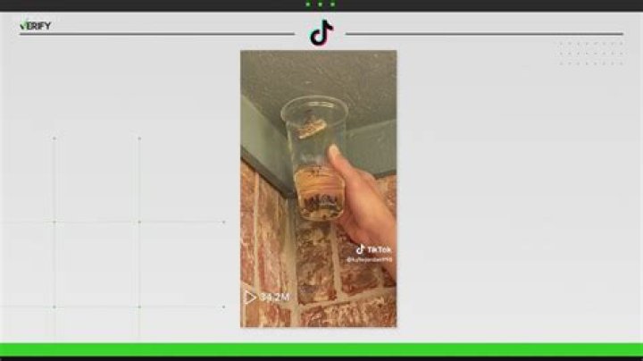 The TikTok Trend That Uses Gasoline Fumes to Kill Wasps Is 'Extremely Unsafe'