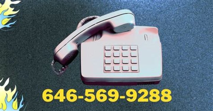 Understanding the Significance of 646-569-9288