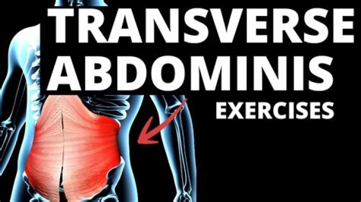 Workout the Transverse Abdominis for a Tiny Waist