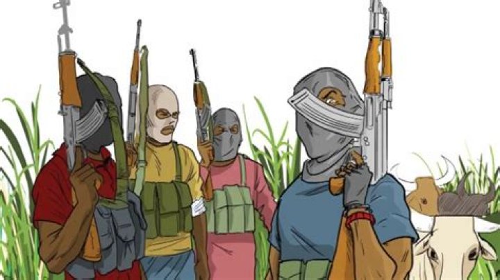 Yan Bindiga Sun Kashe Mutane 3 a Zamfara, Fusatattun Matasa Sun Yi Zanga-Zanga